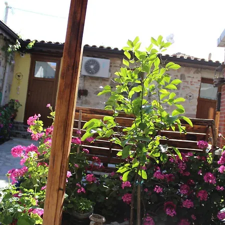 Lejlighedshotel Denizkizi Pansiyon