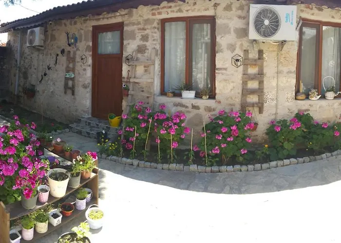 Denizkizi Pansiyon *